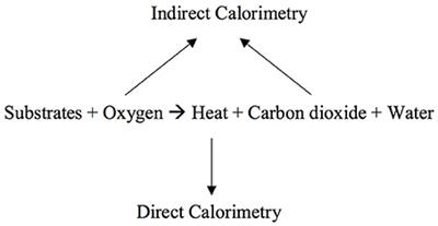 Indirect Calorimetry: History, Technology, and Application